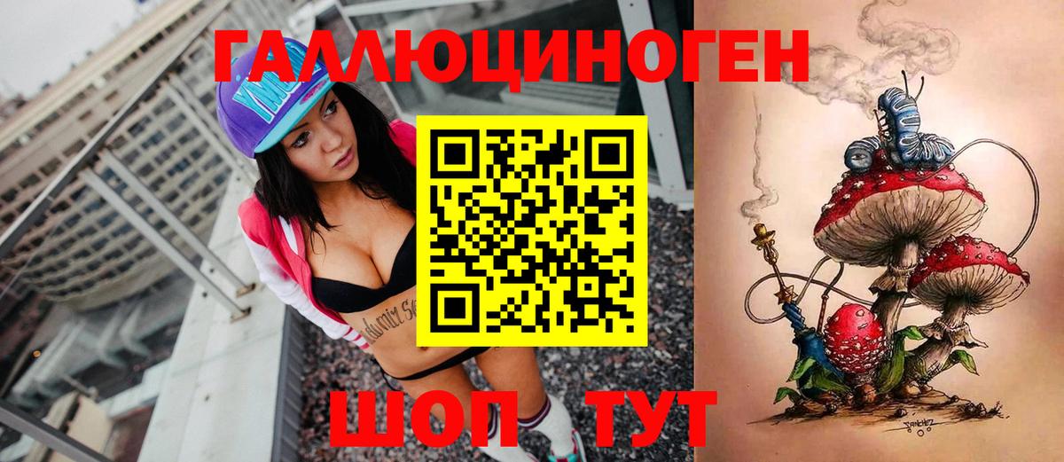 Псилоцибиновые грибы Psilocybine cubensis Балашов