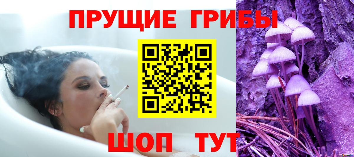 Галлюциногенные грибы Psilocybine cubensis  Вход с VPN  Балашов 